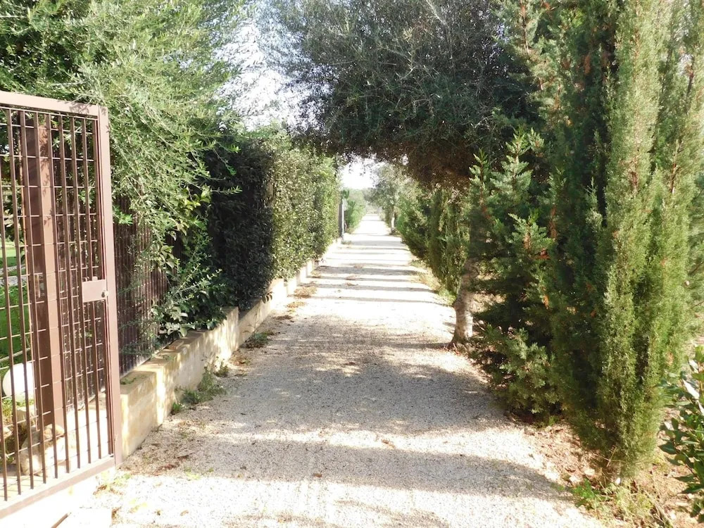 Alimede