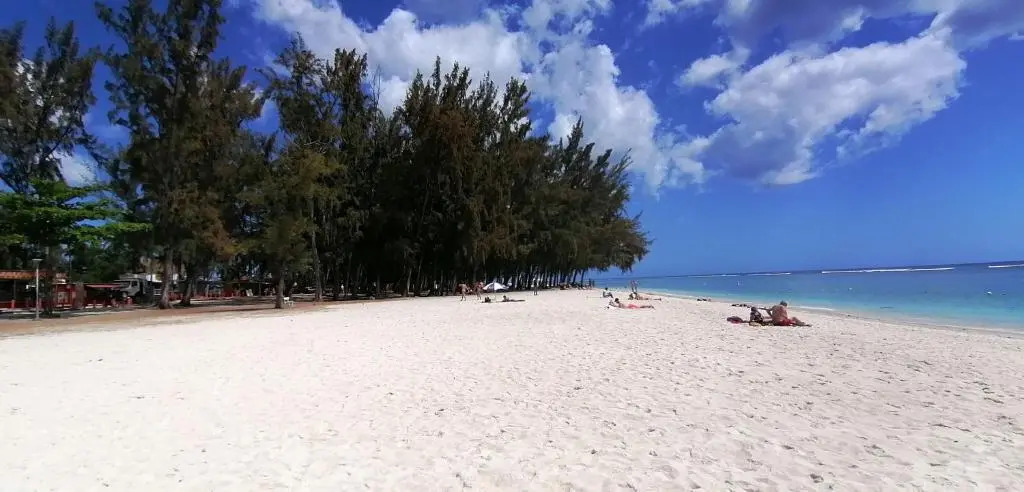 Camelia 2 Flic en Flac Mauritius