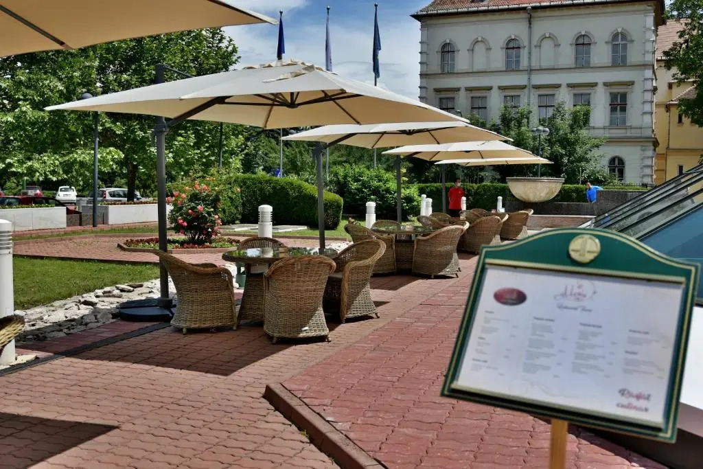 Hotel Aro Palace