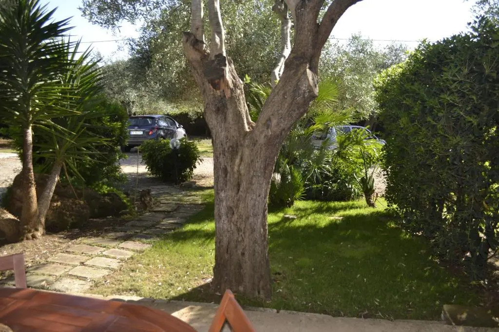Gli Ulivi