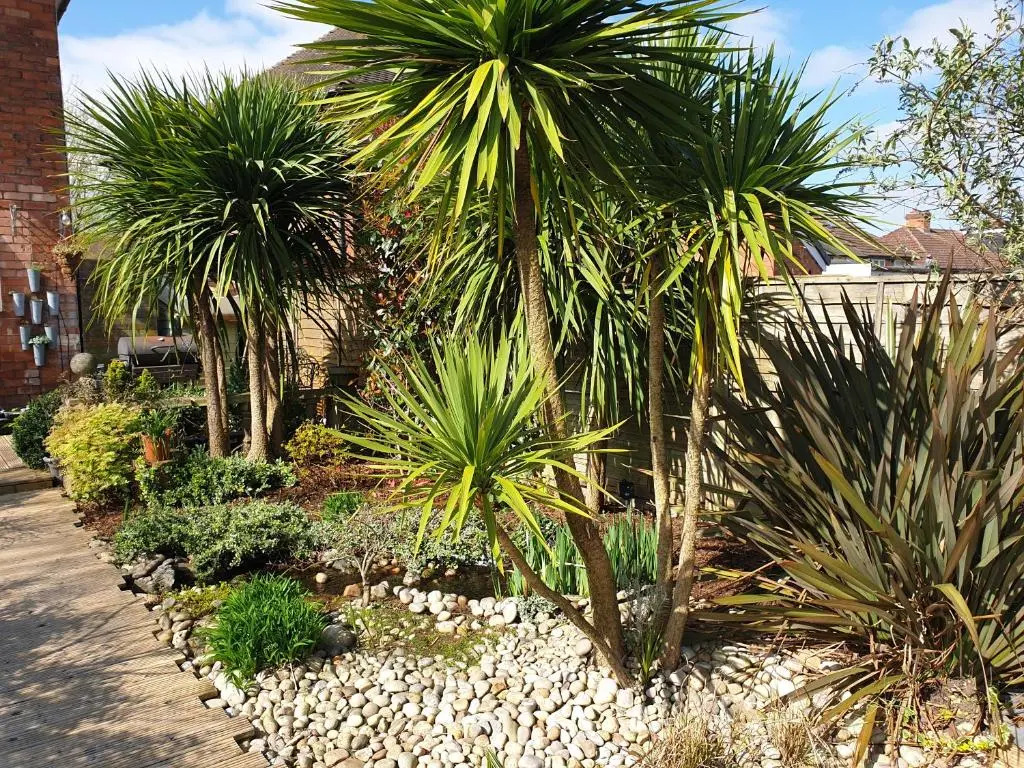 Tropical Garden Oasis Rooms