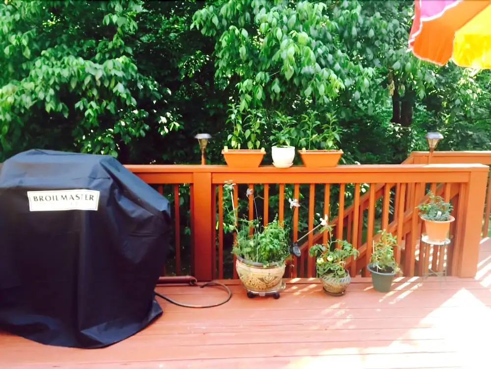 The Nest at Eagles Landing