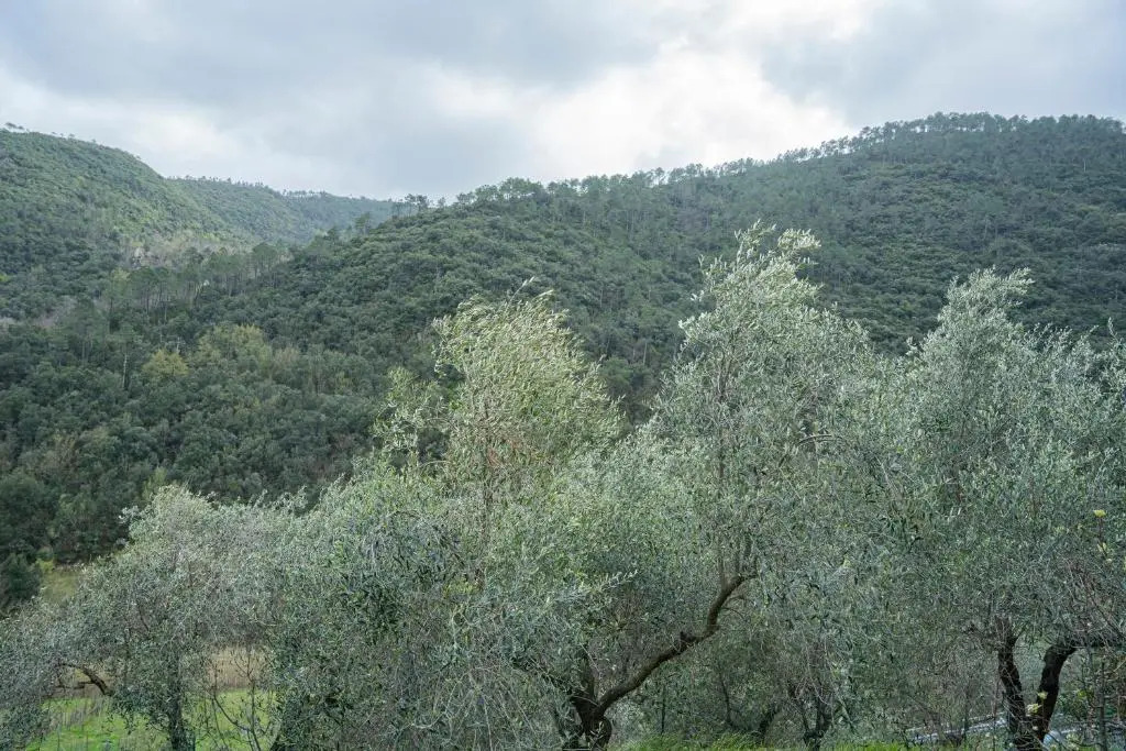032 - CASTELLO RITTA a 3 Piani nel verde, 15 minuti MARE nel verde della liguria - Casa ristrutturata