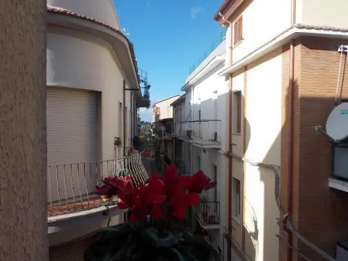 Vico 59
