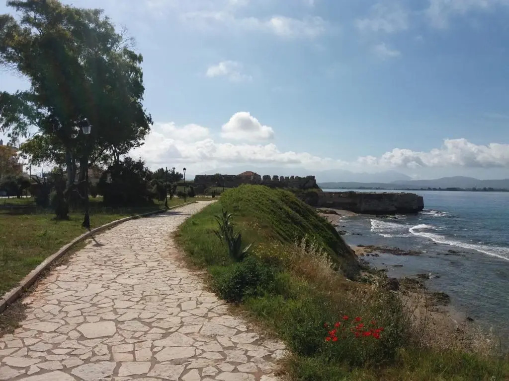 Nestor Sea Studio