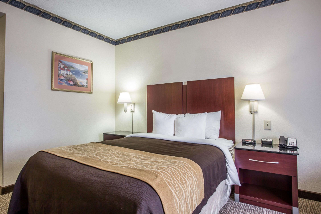 Comfort Inn & Suites FtJackson Maingate