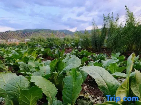 Zuoshi Yun Shui Youyou Homestay (Nalati Scenic Area)