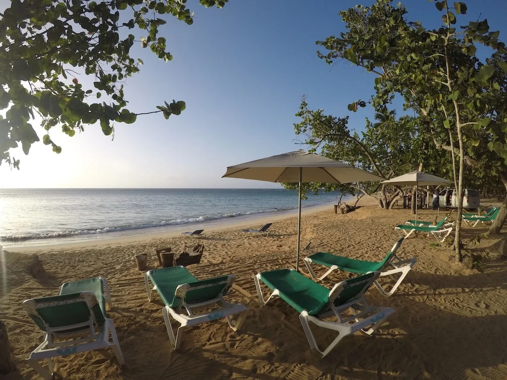 Afreeka Beach Hostel & Music Bar
