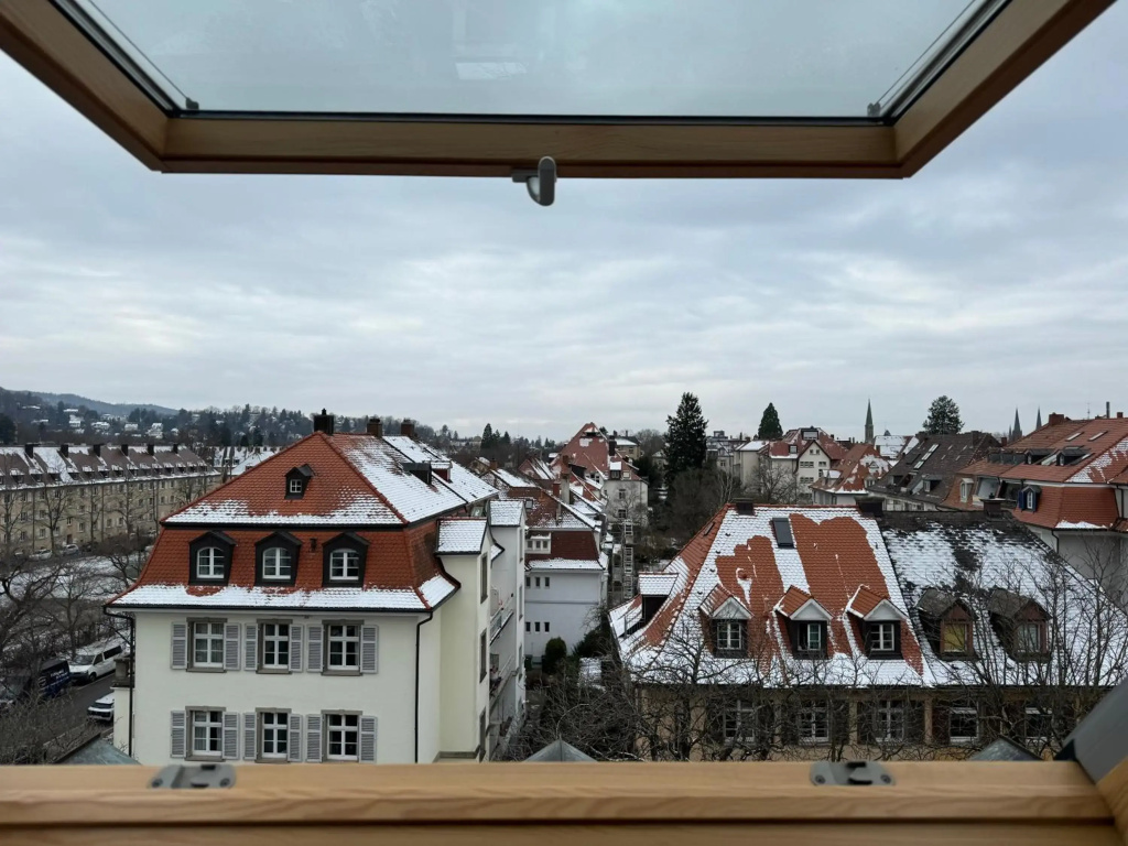 Moderne Apartments im stilvollen Altbau