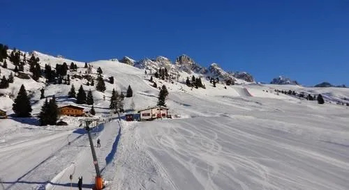 Snow Thrill
