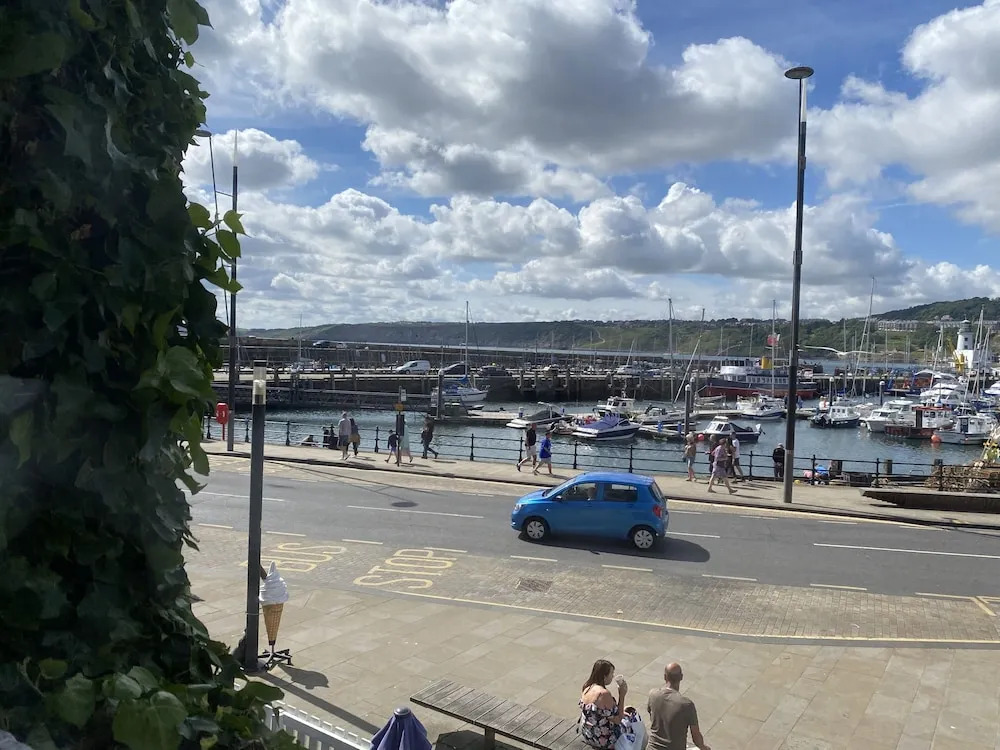 Ivy By The Sea