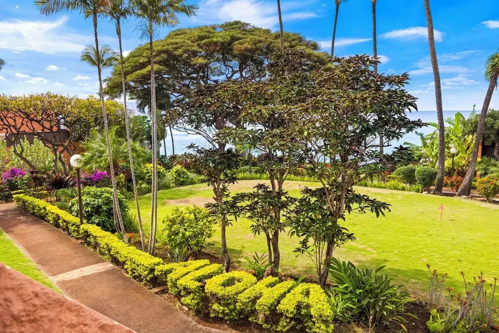 Kuleana Club - 316