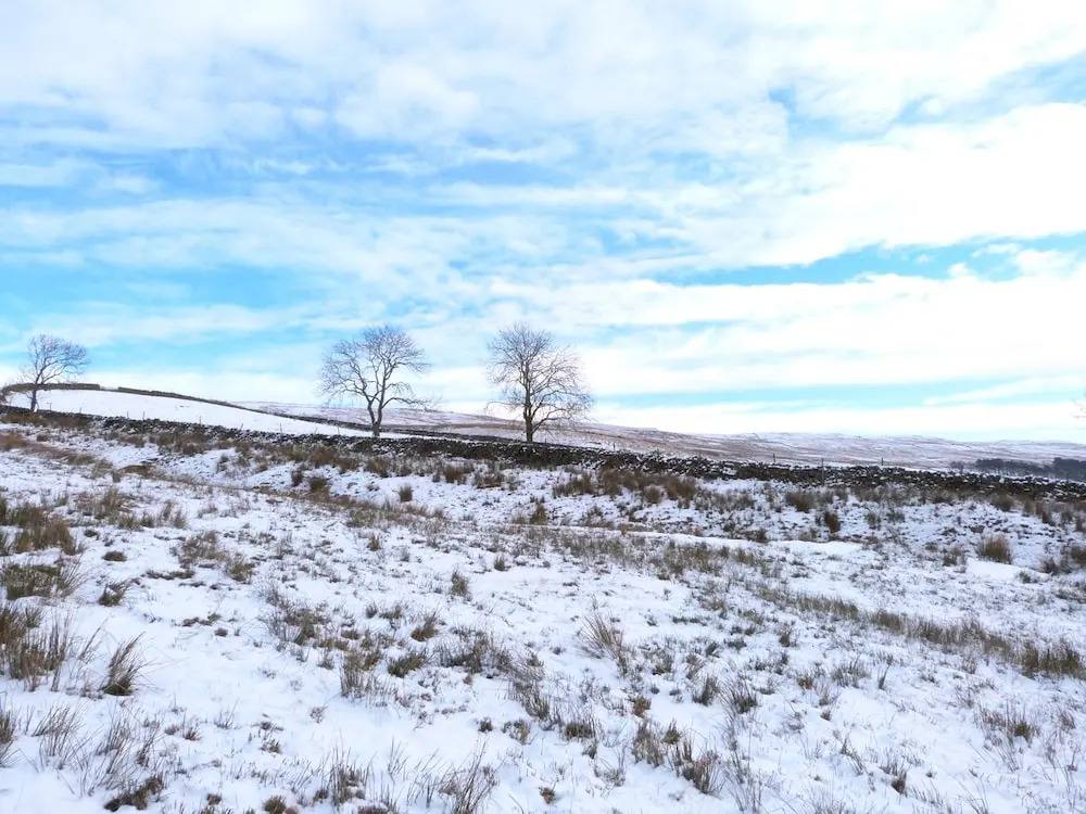 Ploughgate