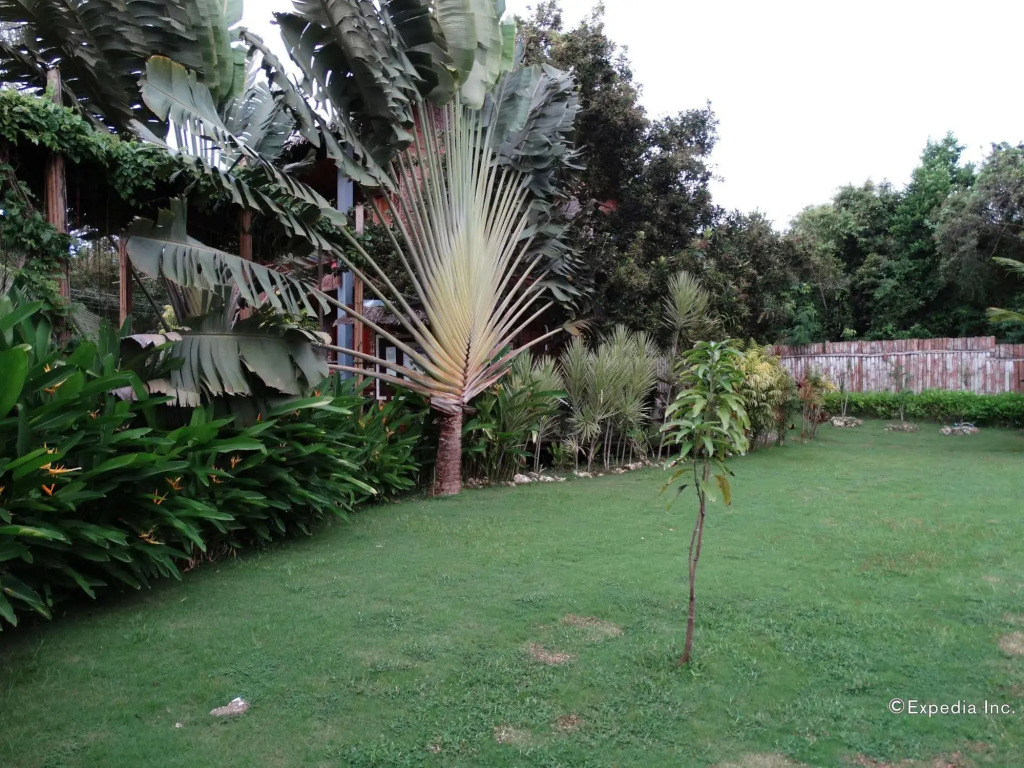 Chill-out Guesthouse