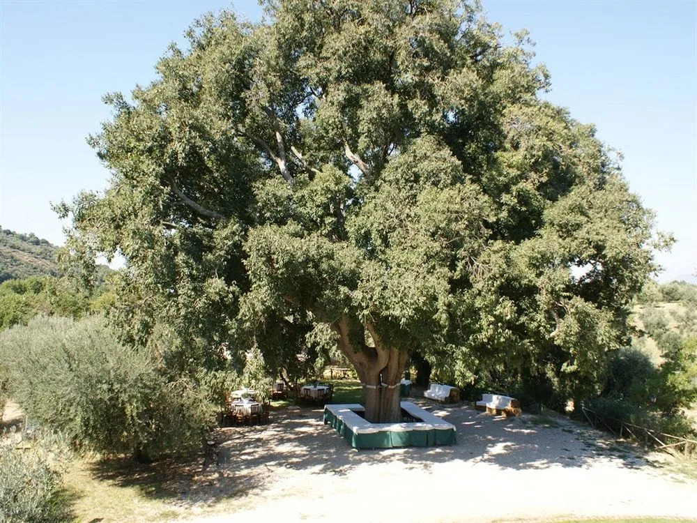 Agriturismo Il Bagolaro