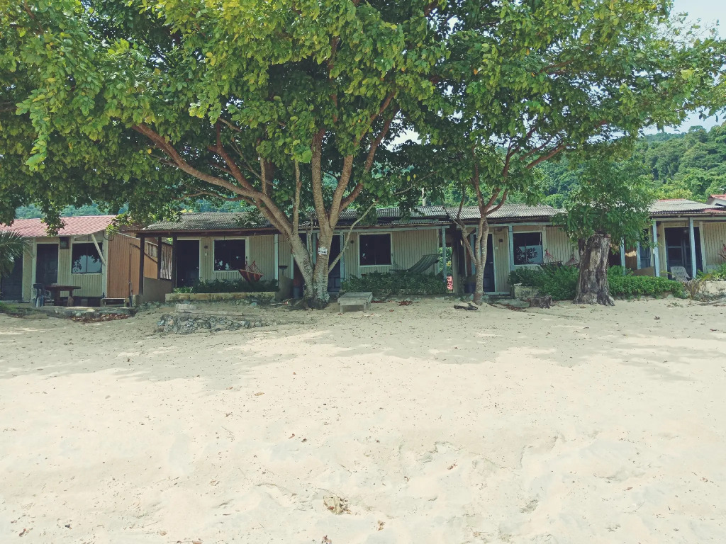 Coral Reef Holidays