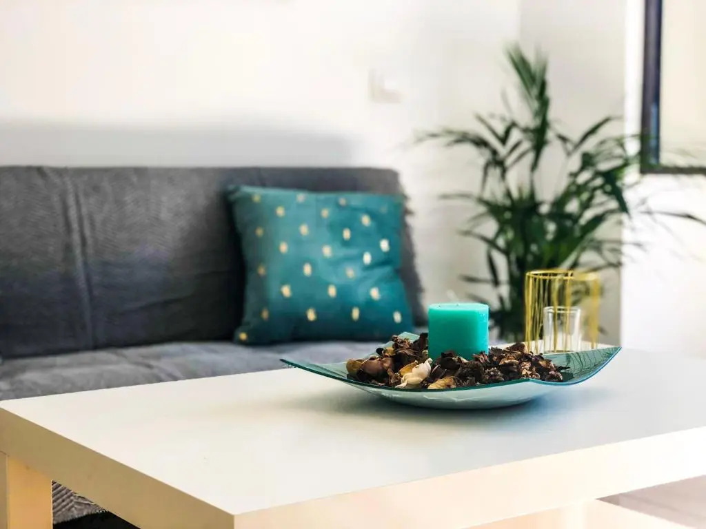 Aloe Studio
