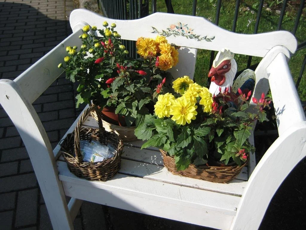 Hotel Villa Rossek
