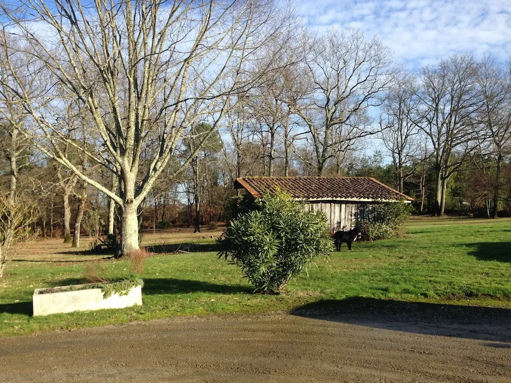 Gîtes Le Pin D'Auros