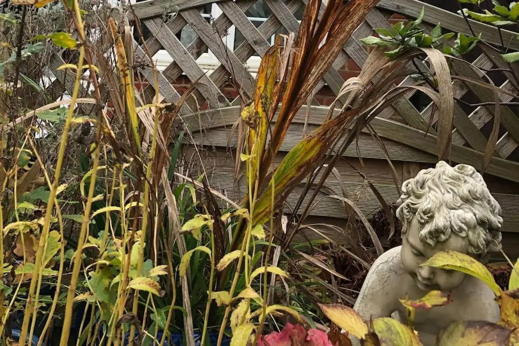 The Artist’S Hideaway. (Adults Only)