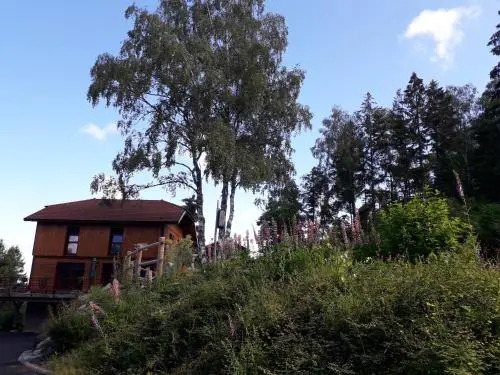 Chalet Luxe 12 Personnes SPA Sauna Vosges-Gerardmer