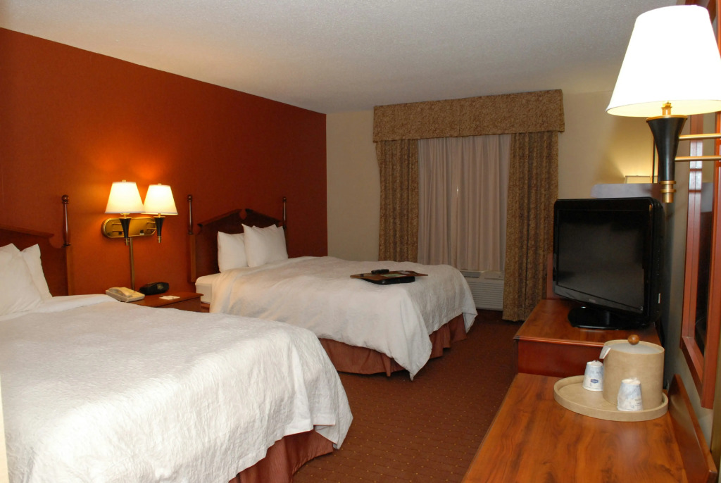 Hampton Inn Birch Run