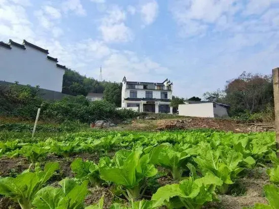 Xinyu Homestay