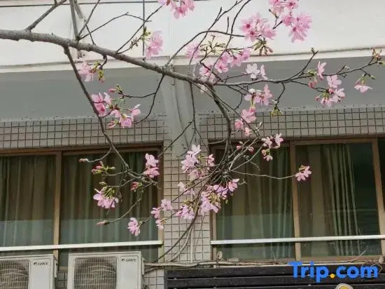 Jinrun Hotel