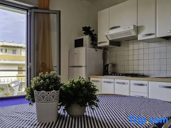 Modern Flat With Terrace Near the Sea-beahost