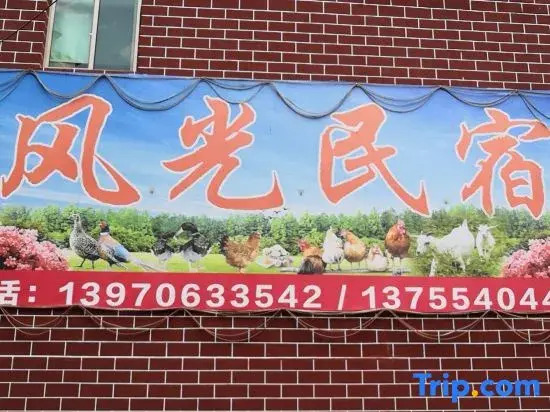Jinggangshan Scenic B&B