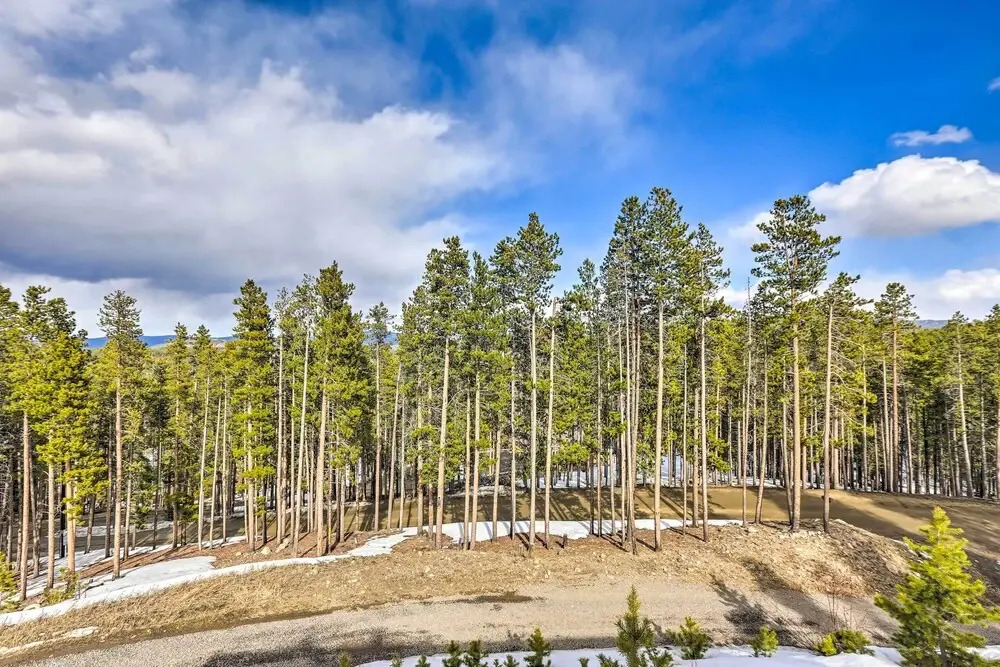 Secluded Retreat w/ Mountain Views in Evergreen