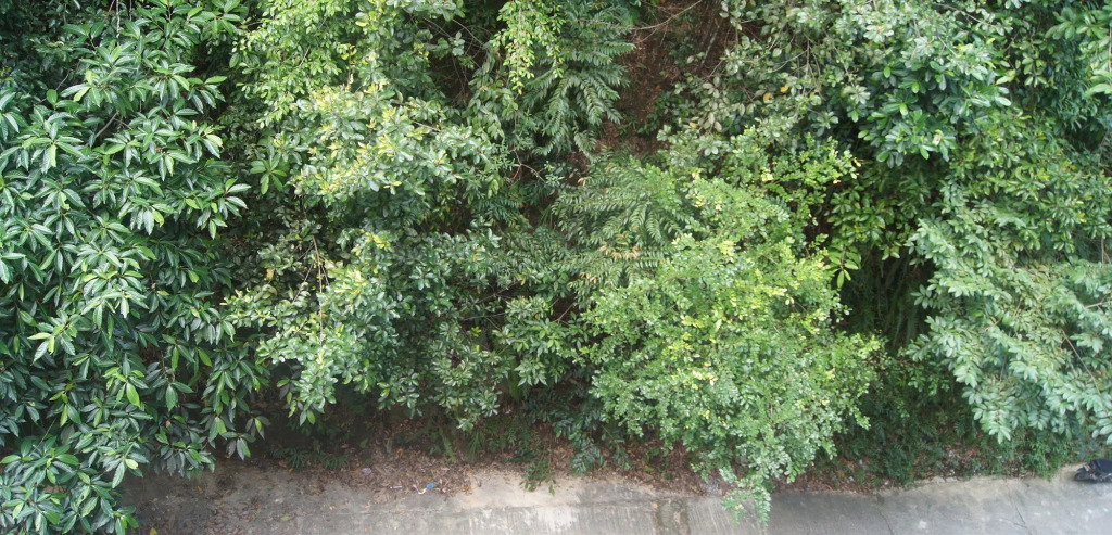 Hotel Hsiang Garden