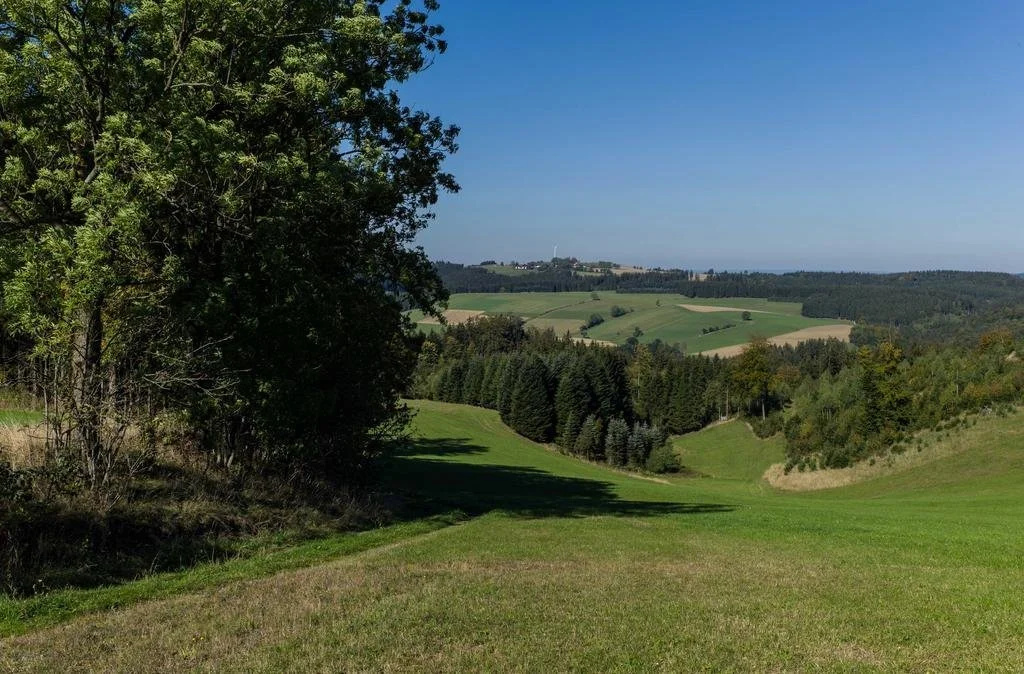 Ferienappartements Rausch
