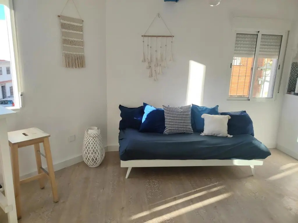 Penthouse duplex with private terrace and cine room 24h entrance