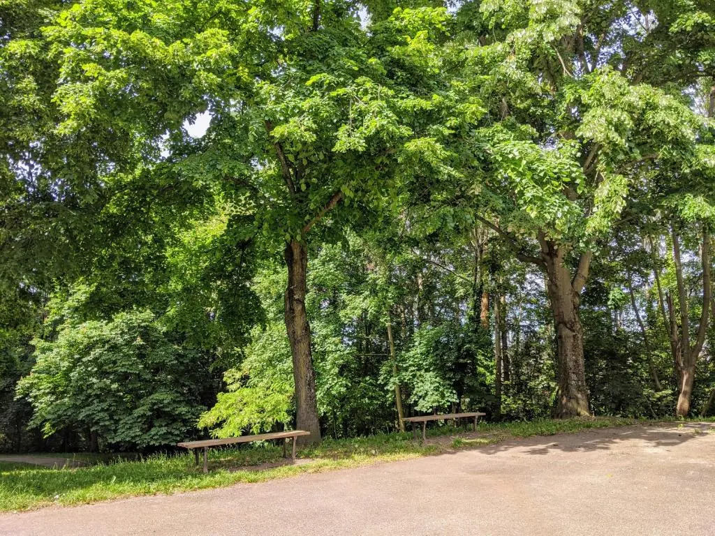 T1 au coeur d'un parc classé à Saint-Etienne