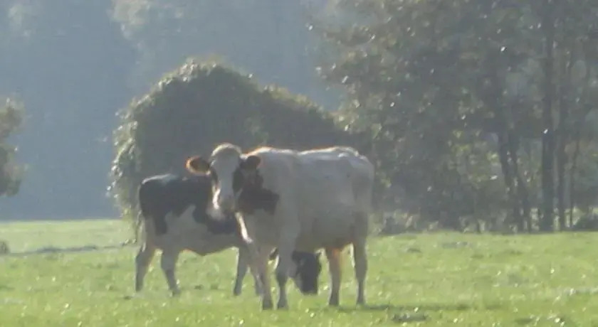 Landgoed Lutterzand