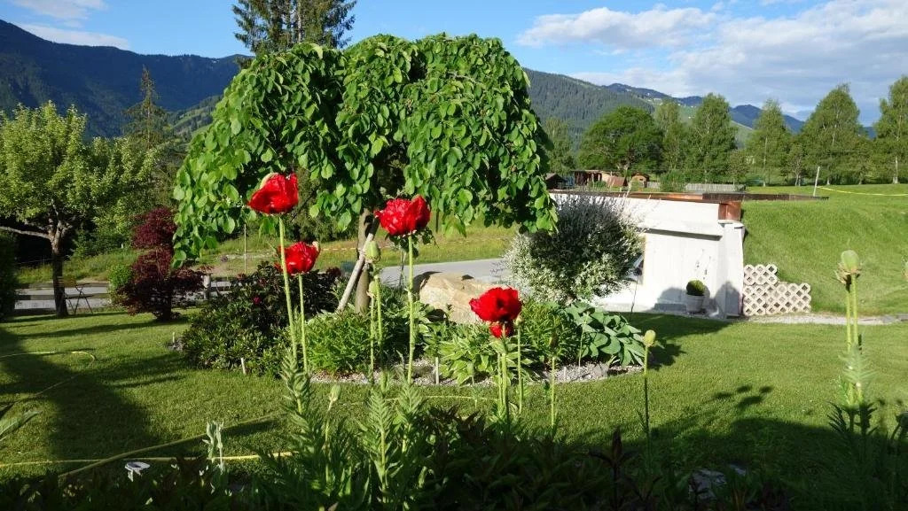 Haus Wenin