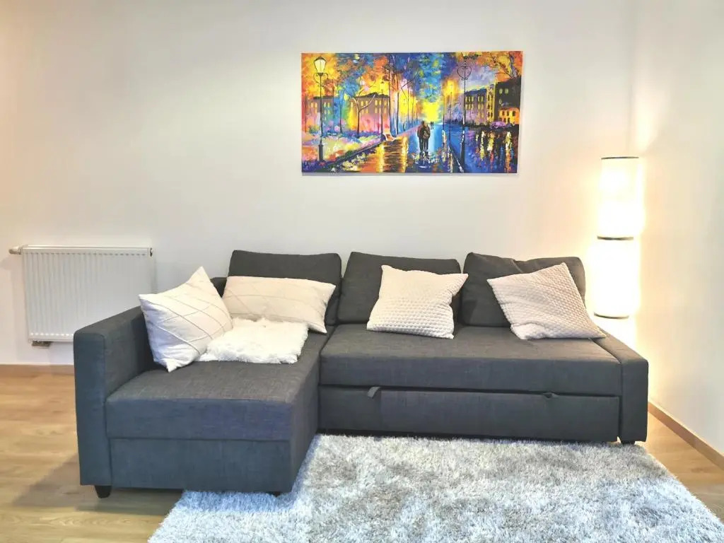 Appartement de Standing 8 Personnes Centre Historique de Colmar