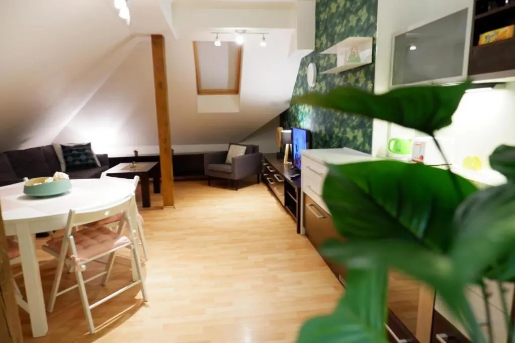 Apartman v centru mesta s vyhledem na Petra
