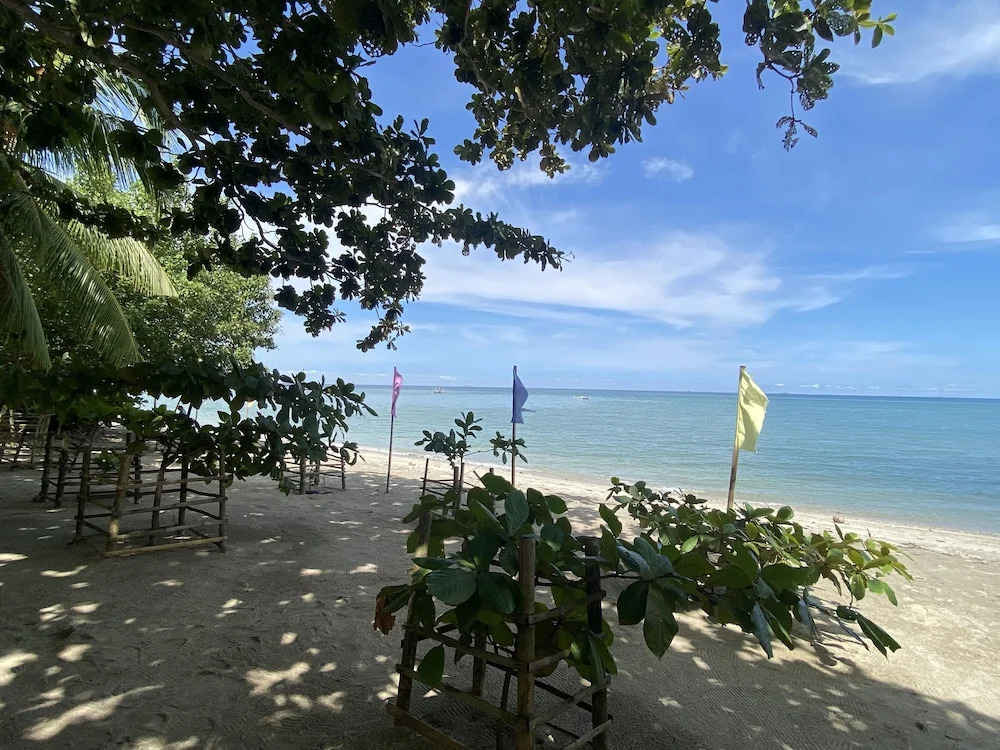 Palm Garden Resort