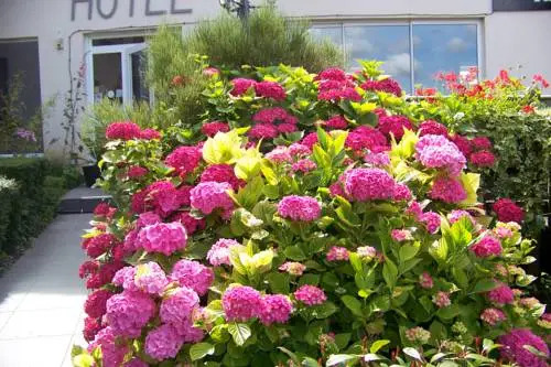 Hotel Bal
