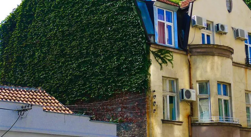 Chillton hostel