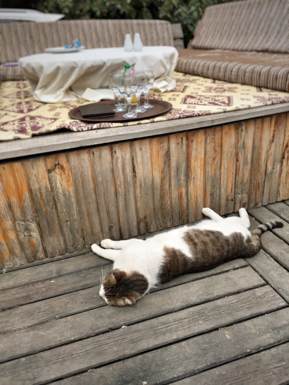 Village Garden Pansiyon Restuarant