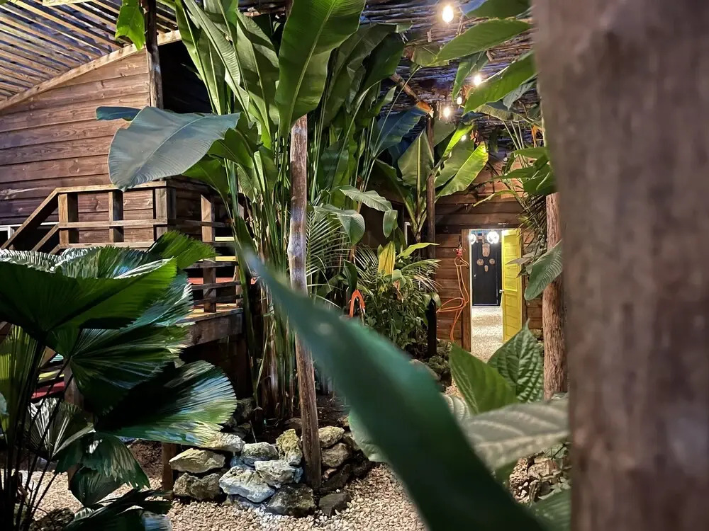 Wild Coffee Retreat - Adults Only