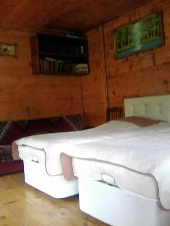 Villa Tengiz