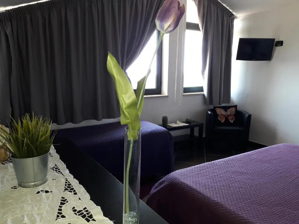 B&B Villa Molinari