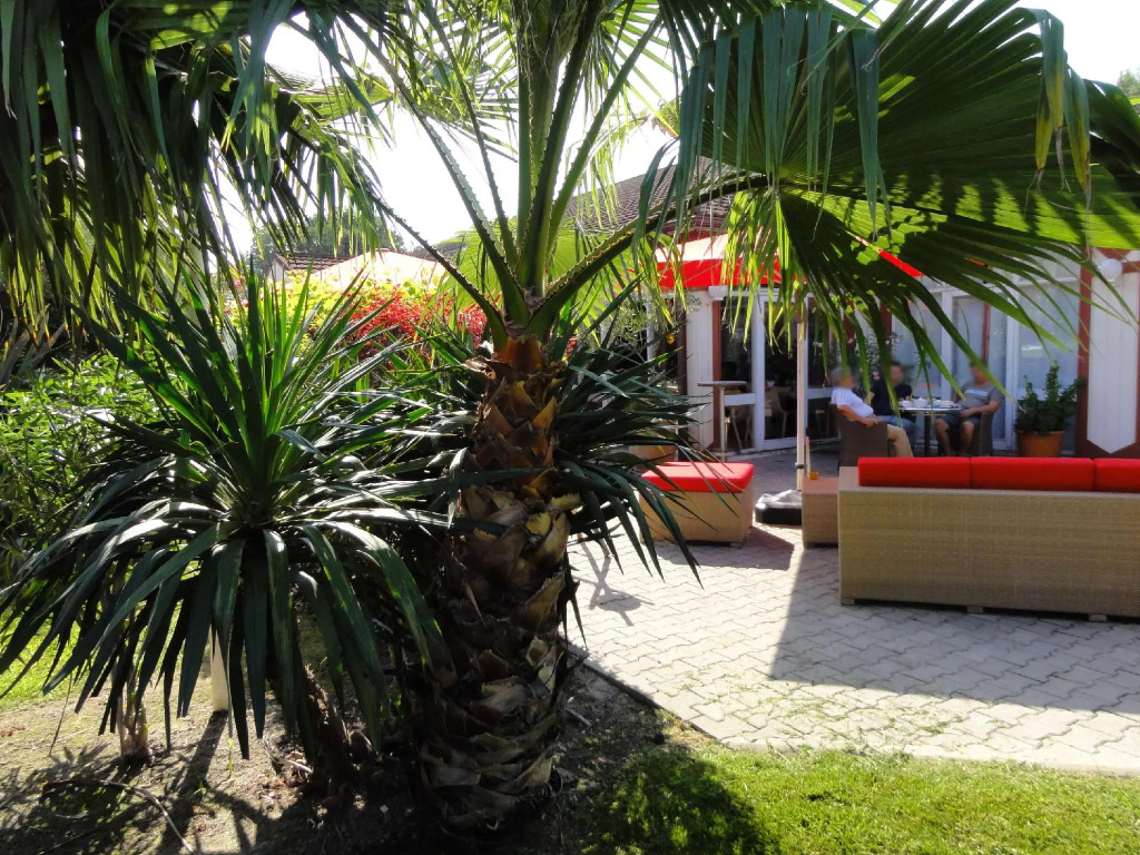 Brit Hotel Confort Nîmes Ouest - A9 sortie 25