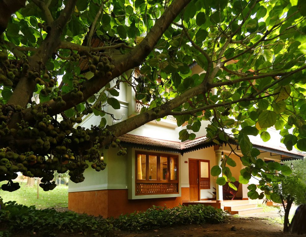 Greenwoods Thekkady - A Five Star Classified Resort