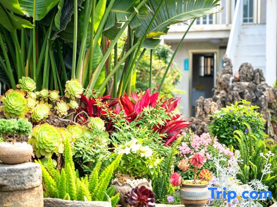 Hersy Vista · Hesi | 270° Panoramic Erhai-Cangshan View Boutique Stay
