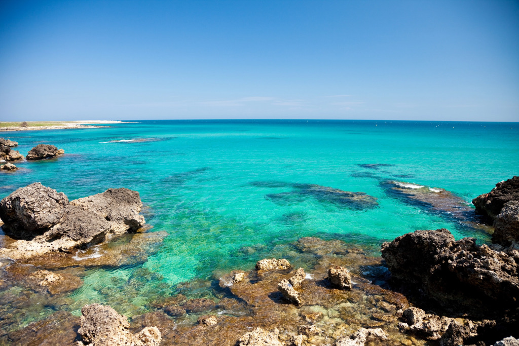 Mediterranea